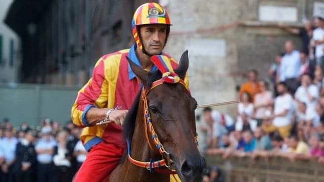 Palio di Siena, Verso il palio: “Violenta sta bene, sono solo&nbsp;voci”