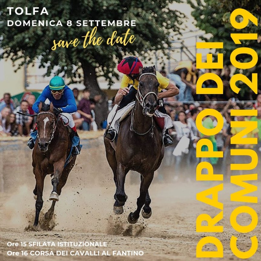 Palio di Tolfa: 08/09 I cavalli Comune per&nbsp;Comune
