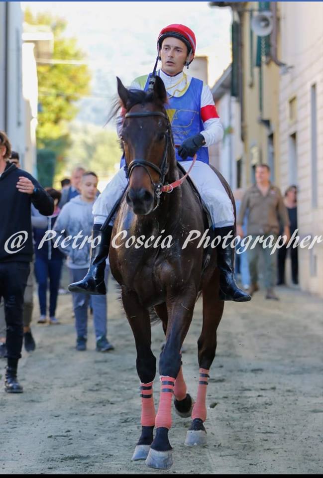 Palio di Buti, Contrada San Michele: Rumors importanti su Angelo Cucinella come fantino per il Palio&nbsp;2020