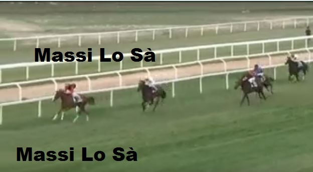 Ippica, Chilivani: Oggi 22/09 Risultati 2^ Corsa Vince&nbsp;Armoniossa