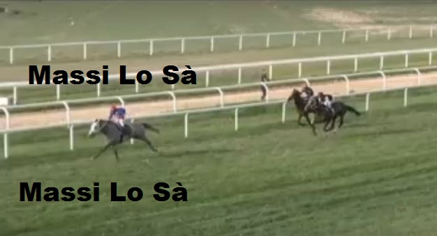 Ippica, Chilivani: Oggi 22/09 Risultati 5^ Corsa Vince&nbsp;Bontour