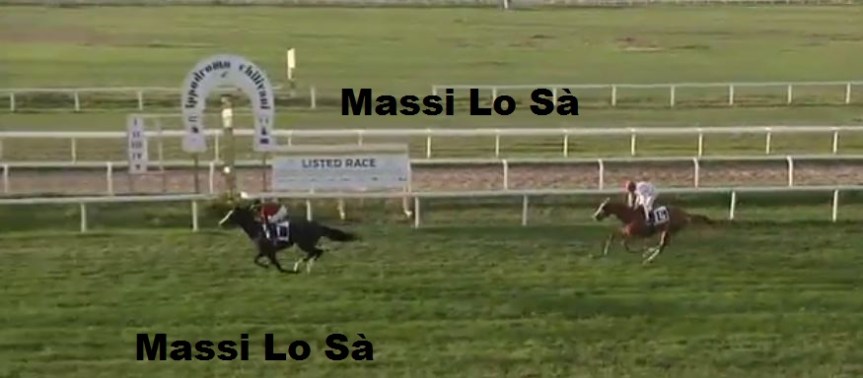 Ippica, Sardegna: I consiglieri regionali del PD hanno sollecitato al presidente della Regione la riapertura delle attività ippiche in&nbsp;Sardegna