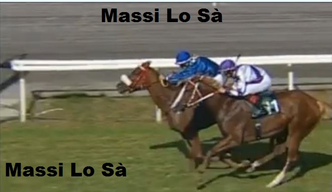 Ippica, Finreze: Oggi 26/09 Risultati 1^ Corsa Vince&nbsp;Arrajulida