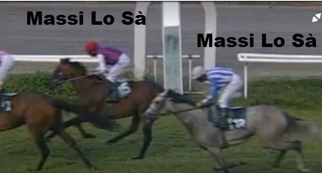 Ippica, Firenze: Oggi 19/09 Risultati 2^ Corsa Vince Adone da&nbsp;Clodia