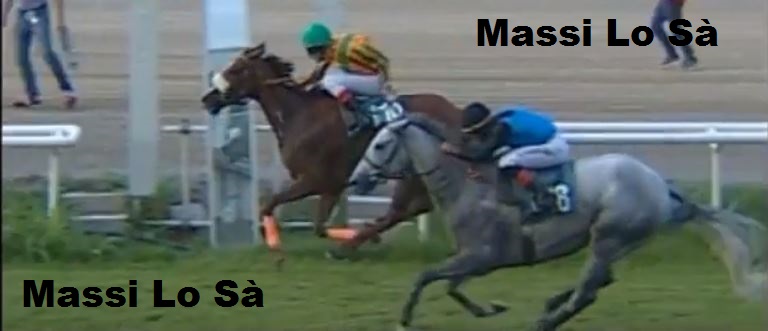 Ippica, Firenze: Oggi 05/09 Risultati 6^ Corsa Vince&nbsp;Venabella