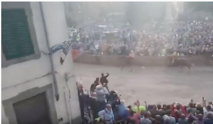 Palio di Castel del Piano: La vittoria della Contrada del Borgo di ieri&nbsp;08/09