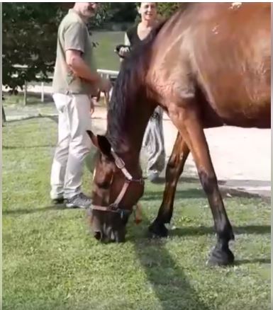 Siena:  Oggi 18/09 Botticello è giunto  alla clinica del&nbsp;Ceppo