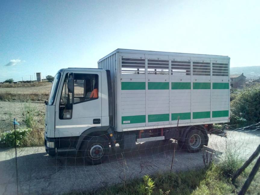 Ippica, Sardegna: In vendita camion per&nbsp;cavalli