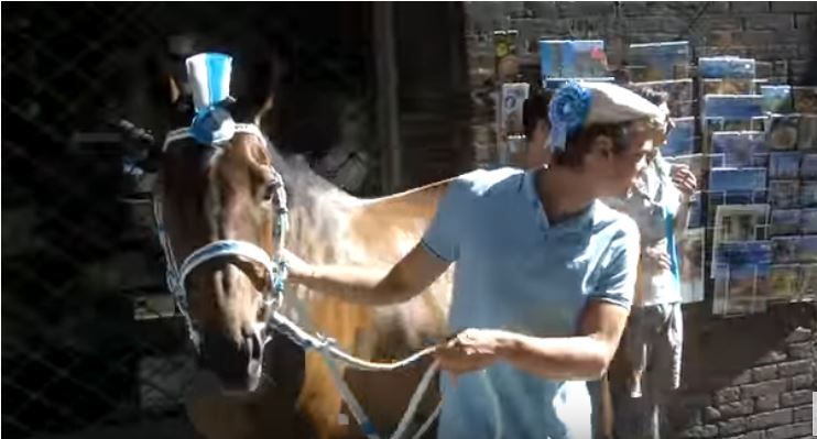 Palio di Siena: Osvaldo – I cavalli del Palio di&nbsp;Siena