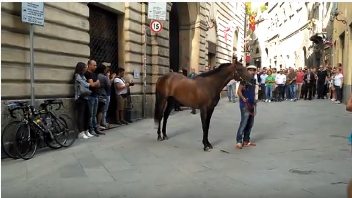 Palio di Siena: Phatos de&nbsp;Ozieri