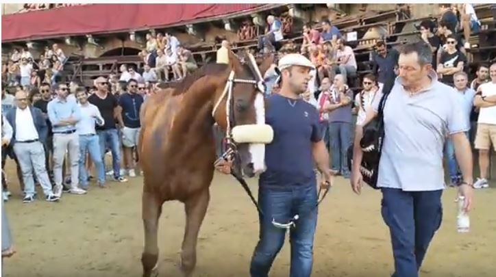 Palio di Siena: La pazienza dei cavalli – Porto&nbsp;Alabe