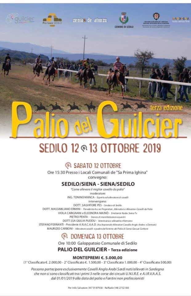 Palii, Associazione Cavalli Palio: 12/10 Il Presidente Ermini interverrà sul dibattito sul cavallo da Palio durante il Palio del&nbsp;Guilcer