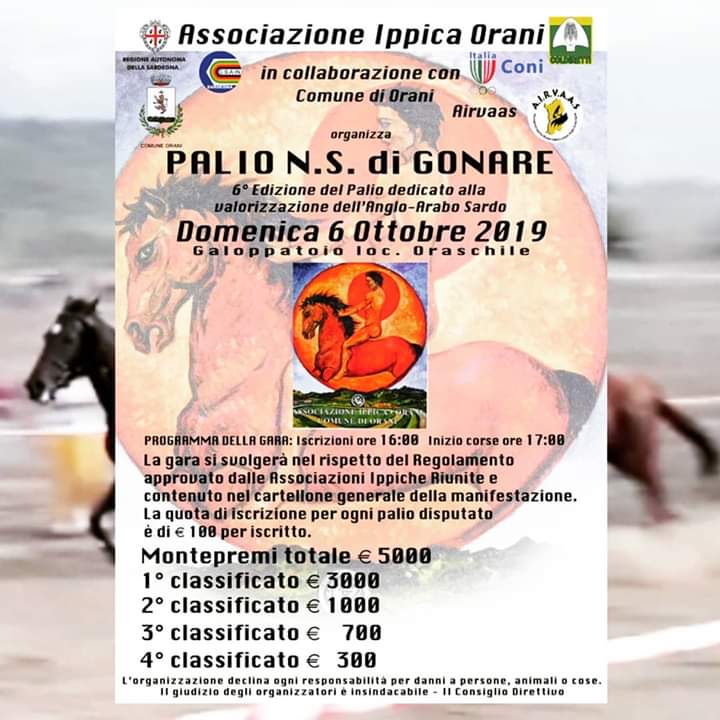 Palii, Airvaas, Orani: 06/10 6 Palio N.S. di&nbsp;Gonare