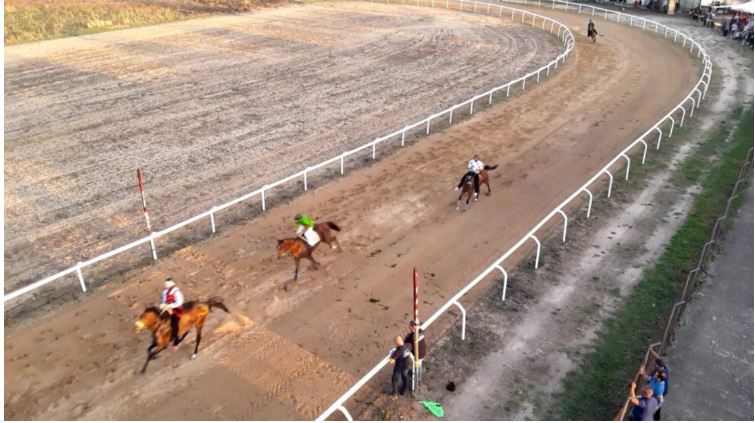 Palii Airvaas: Ieri 28/09 Giovanni Saggia su Viollet Le Duc vince il 2° Palio dell’Anglo-Arabo