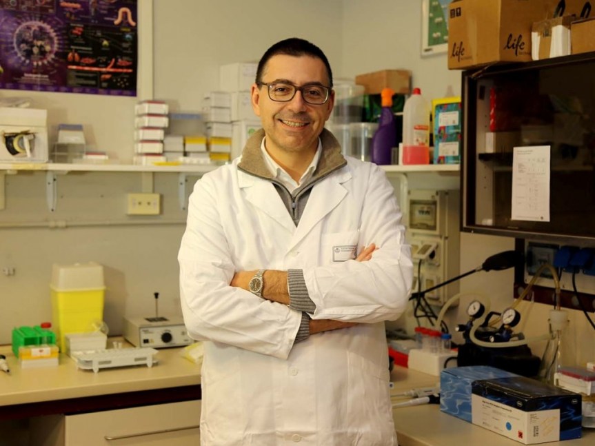 Siena: ”Le malattie autoinfiammatorie monogeniche e multifattoriali”, si sta svolgendo a Siena il corso avanzato di&nbsp;perfezionamento