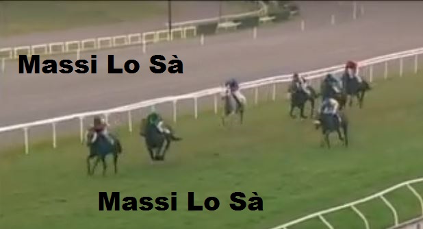 Ippica, Firenze: Oggi 24/10 3^ Corsa Vince Bianco e&nbsp;Nero