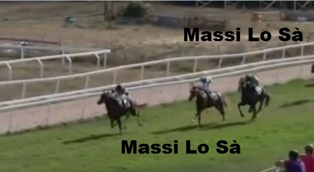 Ippica, Sassari: Oggi 21/10 Risultati 1^ Corsa Vince&nbsp;Anibas