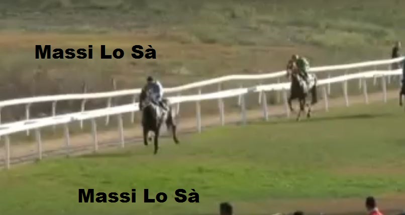 Ippica, Sassari: Oggi 14/10 Risultati 4^ Corsa Vince&nbsp;Assalto