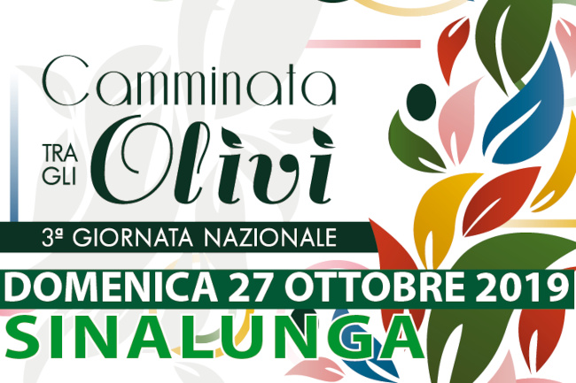 Provincia di Siena: 27/10 Sinalunga, ”Camminata tra gli Olivi” alla scoperta di&nbsp;Scrofiano