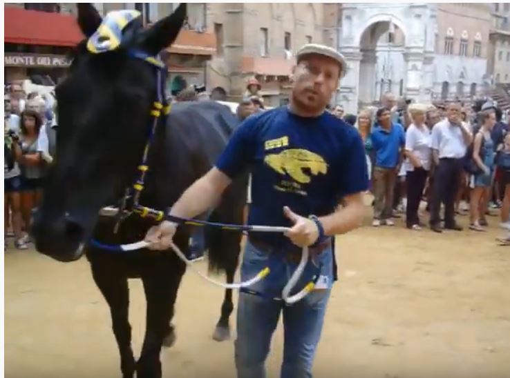 Palio di Siena: Ivanov – I cavalli del Palio di&nbsp;Siena