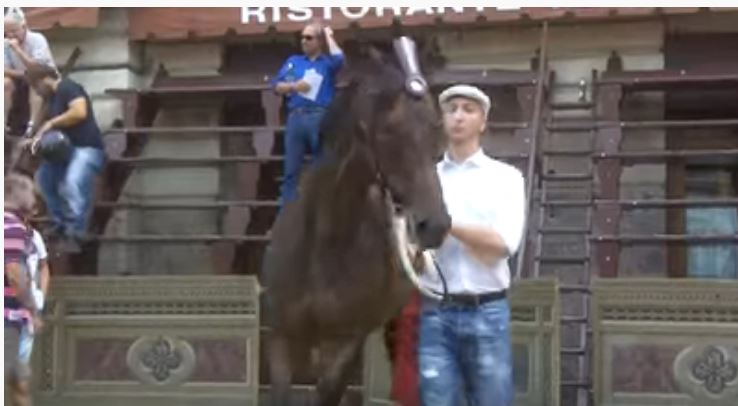 Palio di Siena: Morosita Prima – I cavalli del Palio di&nbsp;Siena