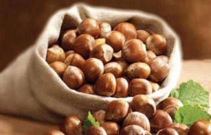 Provincia di Siena: Le nocciole della Nutella? Sono della Valdichiana. C’è l’accordo tra Coagria e&nbsp;Ferrero