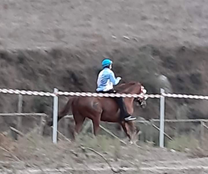 Palii Airvaas, Orani: Oggi 06/10 Sandro Gessa su Profondo Rosso vincono il VI° Palio N.S. di&nbsp;Gonare