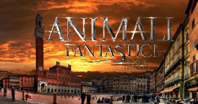 Siena: 01/11 Animali fantastici e dove trovarli a&nbsp;Siena!
