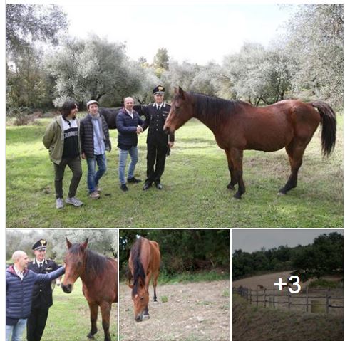 Palio di Siena. Comitato Amici del Palio: A cavallo di una fiaba, i proventi in&nbsp;beneficienza