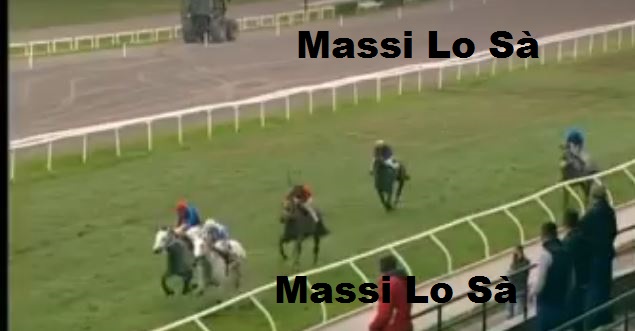 Ippica, Firenze: Oggi 02/11 Risultati 2^ Corsa vince&nbsp;Bontour