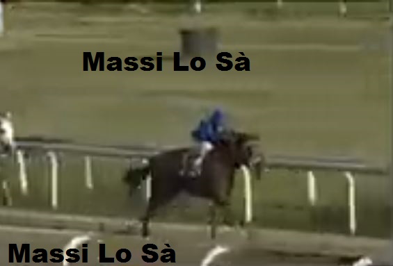 Ippica, Follonica: Oggi 30/11 Risultati 1^ Corsa Vince&nbsp;Carilbom