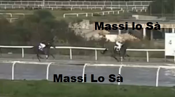 Ippica, Follonica: Oggi 09/11 Risultati 4^ Corsa vince&nbsp;Portorose