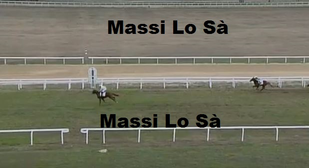 Ippica, Villacidro: Oggi 18/11 Risultati 1^Corsa Vince Astro de&nbsp;Aighenta