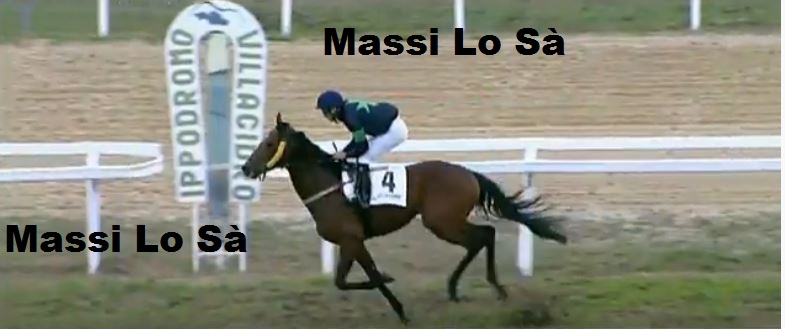 Ippica, Villacidro: Risultati 2^ Corsa Vince Asso&nbsp;Nero