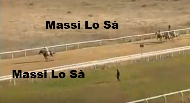 Ippica, Vlllacidro: Oggi 04/11 Risultati 2^ Corsa Vince Astro de&nbsp;Aighenta