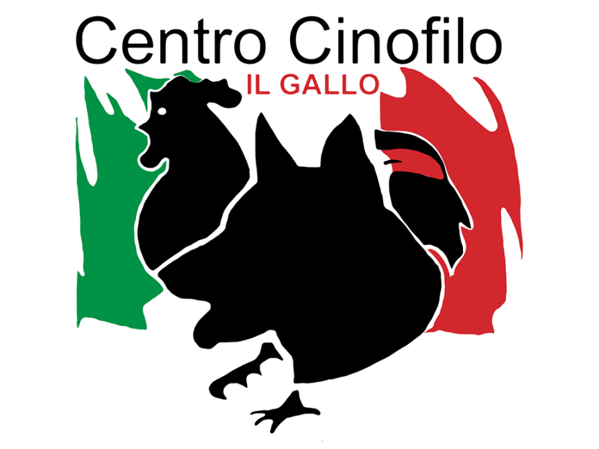 Provincia di Siena, Maltempo e fiamme devastano il centro cinofilo il “Gallo”: “Siamo in&nbsp;ginocchio”