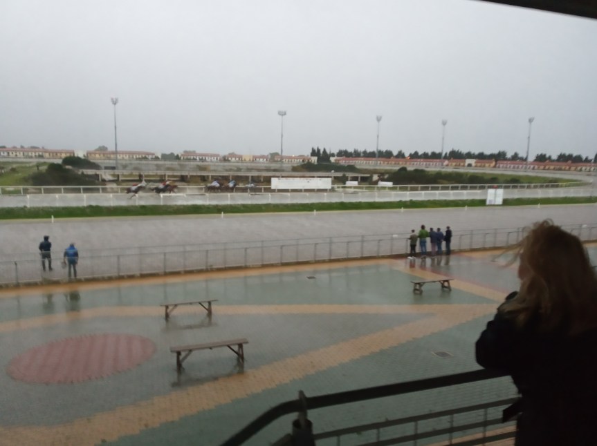 Ippica, Follonica: Risultati 6 Corsa vince&nbsp;Uolcher