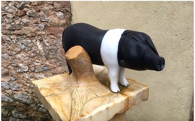 Provincia di Siena, Cinta senese: Una razza da&nbsp;monumento