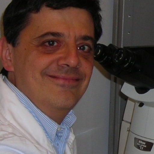 Siena, Giornata mondiale del diabete, il professor Dotta: “Ecco come fronteggiare la patologia”