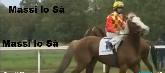 Ippica, Coordinamento ippodromi: “Al via le corse, filiera sia unita per la&nbsp;riforma”