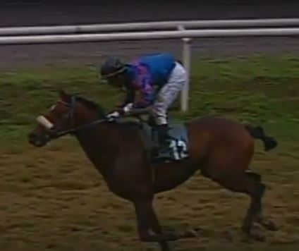 Palio di Asti, Rione Cattedrale: La Commissione Corsa insieme a Dino Pes hanno acquistato il cavallo&nbsp;Zamoreto