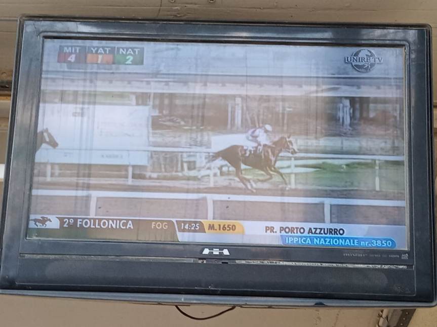 ippica, Follonica: Oggi 07/12 Risultati 2^ Corsa Vince Alba&nbsp;Solare