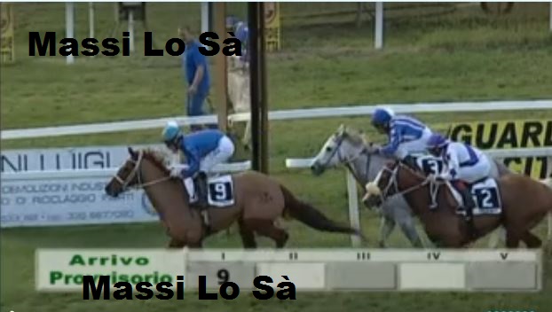 Ippica, Pisa: Oggi 15/12 Risultati 4^ Corsa Vince&nbsp;Silbomba