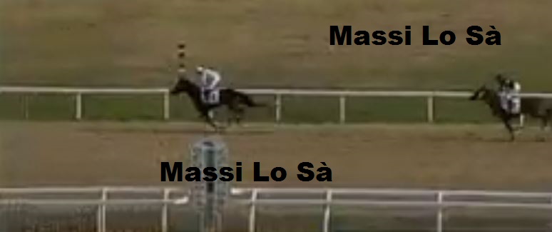 Ippica, Villacidro: Oggi 09/12 Risultati 1^ Corsa Vince&nbsp;Aprilia