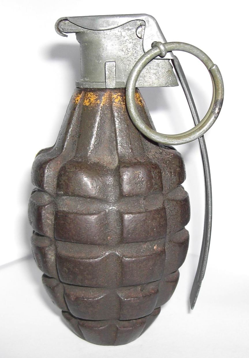 Siena: Estremismo di destra, nell’albero nascosta una bomba a&nbsp;mano