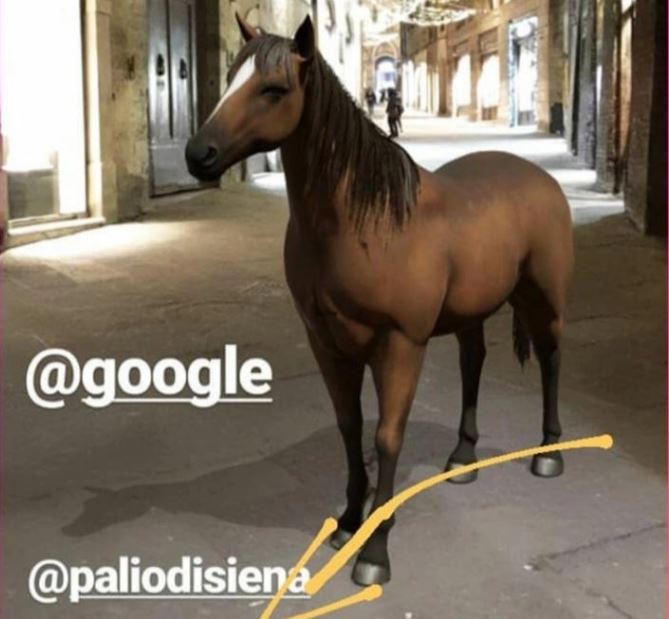 Siena, C’è un cavallo per le strade di Siena: Tutti pazzi per la novità di&nbsp;Google