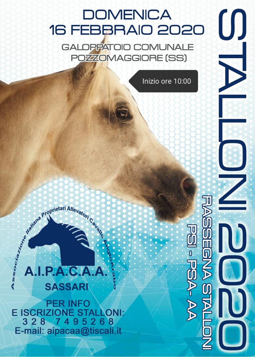 Ippica, Aipacaa: Comunicatato Stampa su Rassegna Stalloni 2020 del 16/02 a&nbsp;Pozzomaggiore