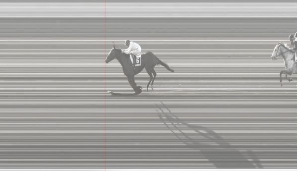 Ippica, Pisa: Oggi 05/01 Risultati 5^ Corsa Vince Mr&nbsp;Gualano