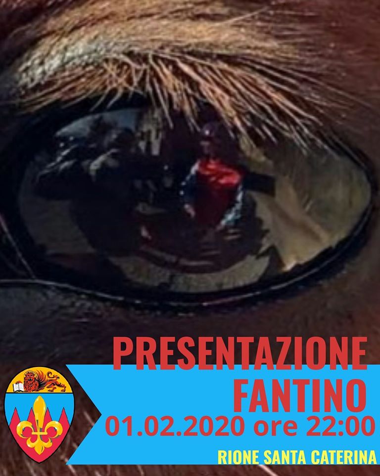 Palio di Asti, Comitato Palio Santa Caterina:  Oggi 01/02 ore 22.00 Presentazione&nbsp;Fantino