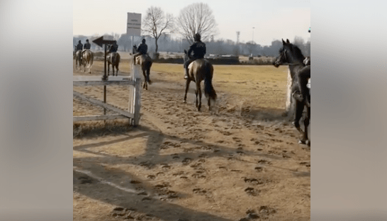 Ippica, San Siro: Piste aperte a Trenno, al termine di una mattinata molto tesa tra proprietà ed&nbsp;operatori